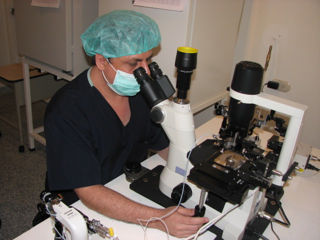 Especialista trabajando en el laboratorio de embriología
